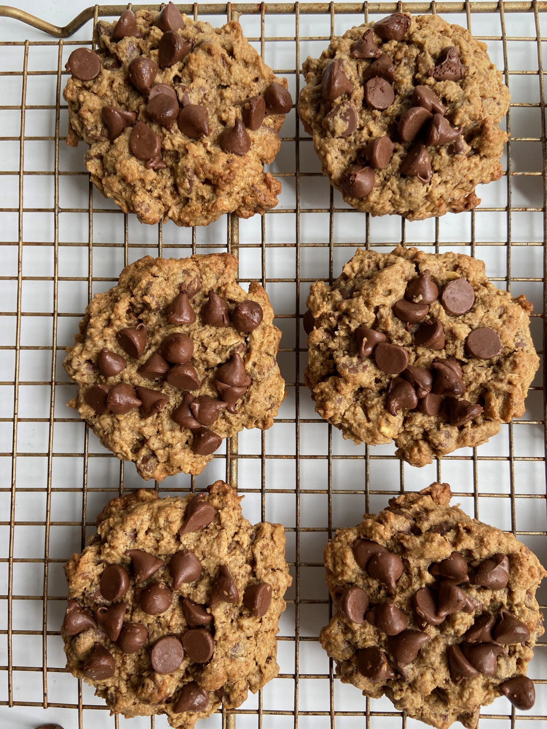 Gluten Free Oatmeal Chocolate Chunk Cookies